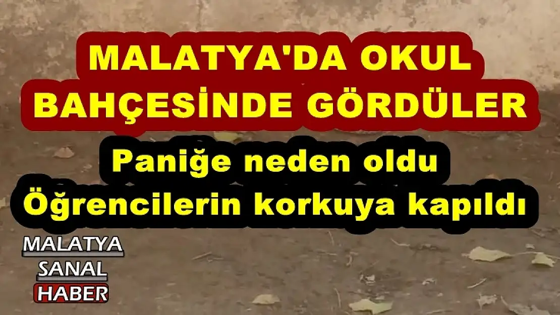 Malatya'da Okul Bahçesinde Gördüler