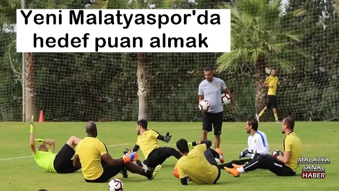 Yeni Malatyaspor'da hedef puan almak