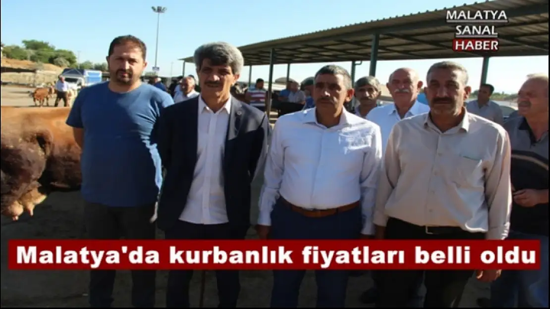 Malatya'da kurbanlık fiyatları belli oldu