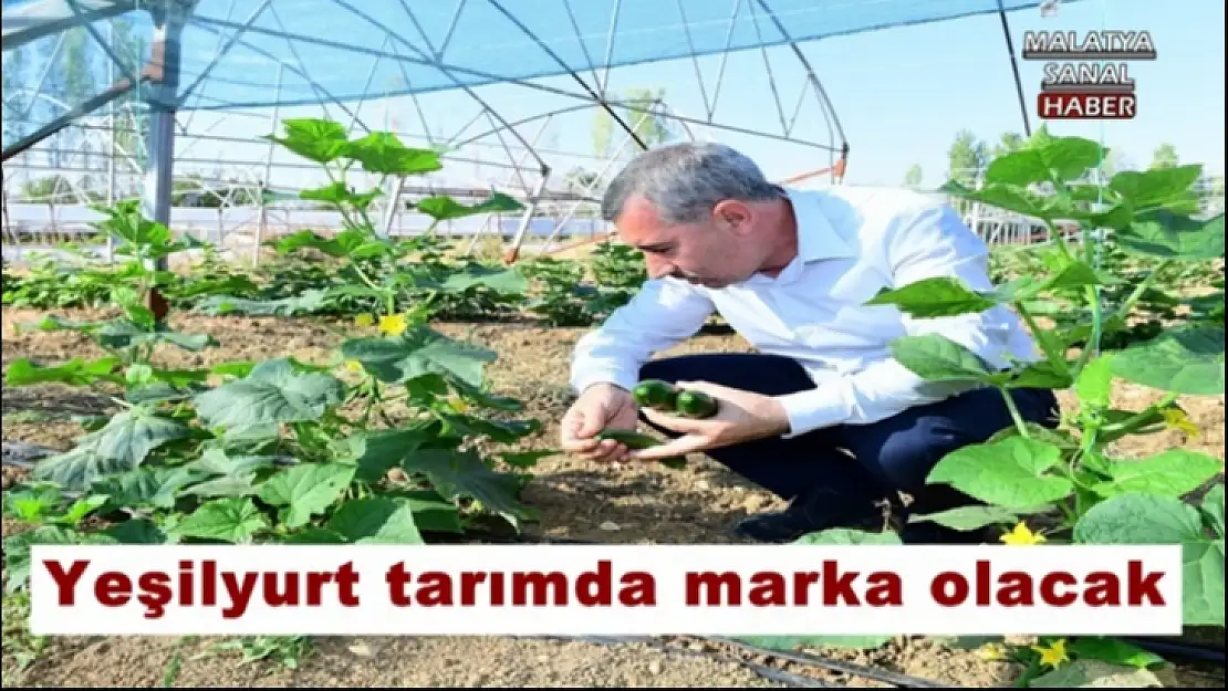 Yeşilyurt tarımda marka olacak
