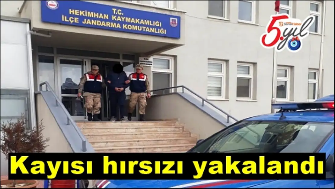 Kayısı hırsızı yakalandı