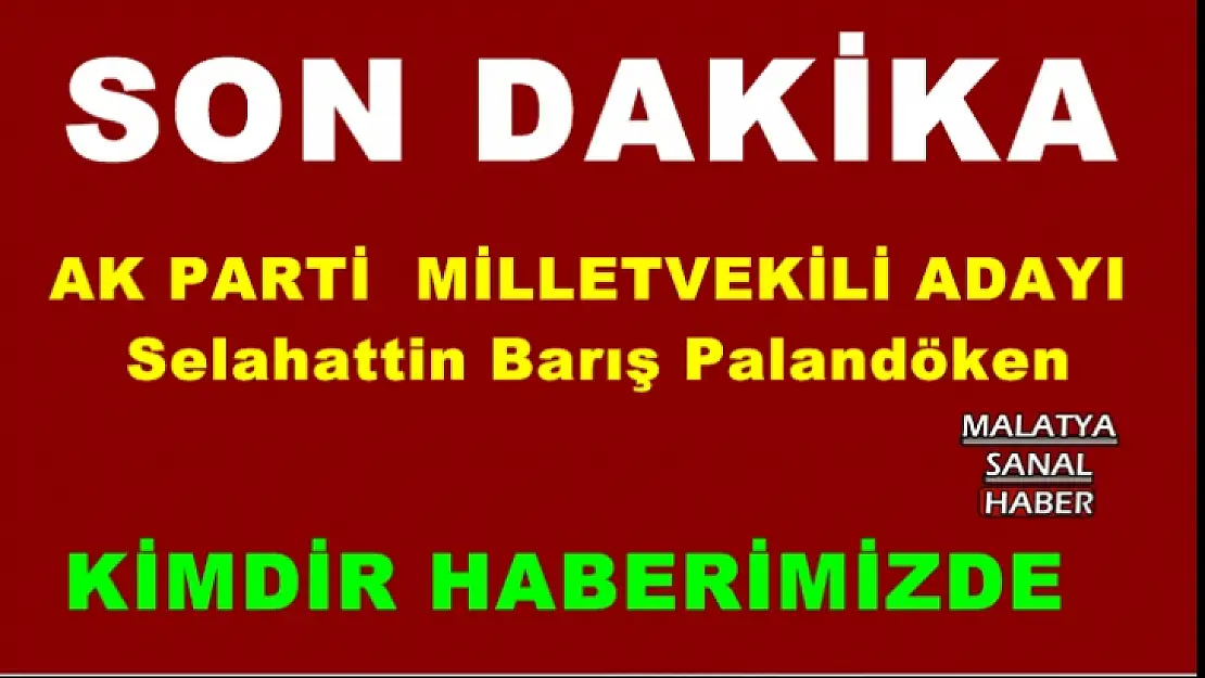 Selahattin Barış Palandöken kimdir
