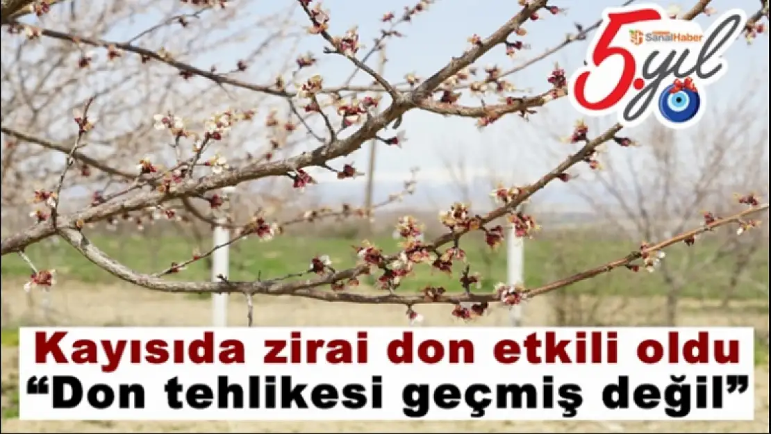 Kayısıda zirai donun etkili olduğu yerler