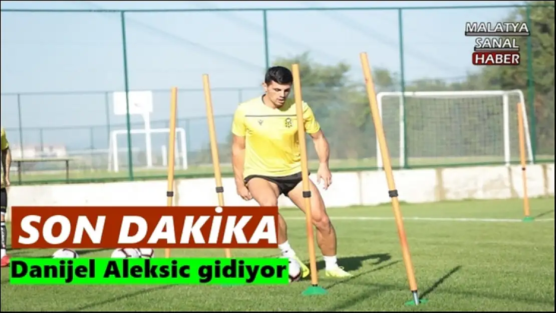 Danijel Aleksic gidiyor