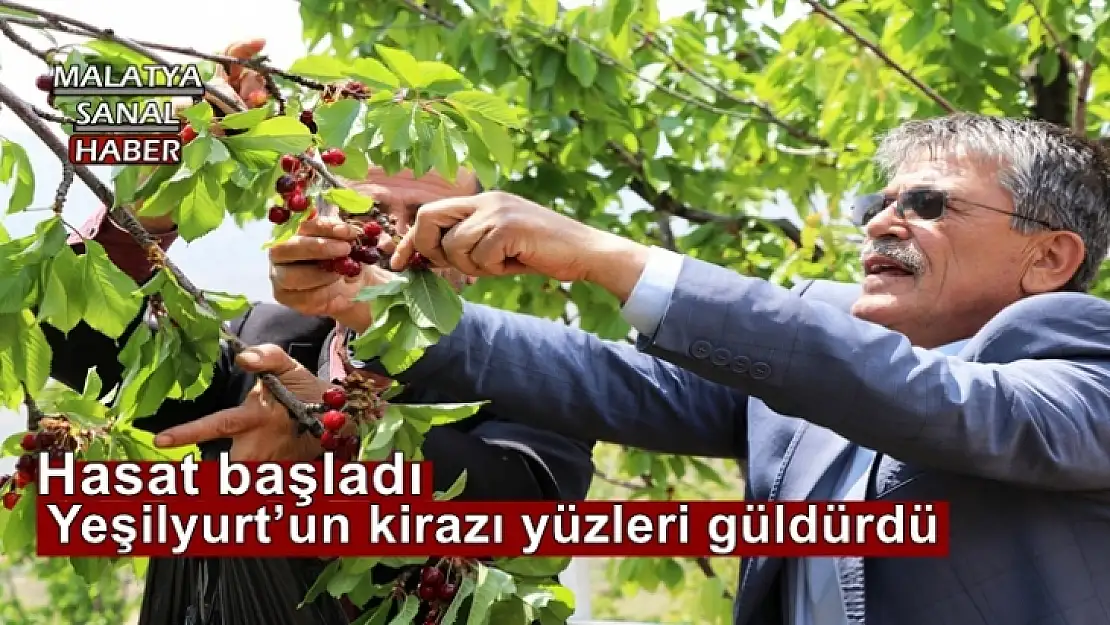 Yeşilyurt´un kirazı yüzleri güldürdü