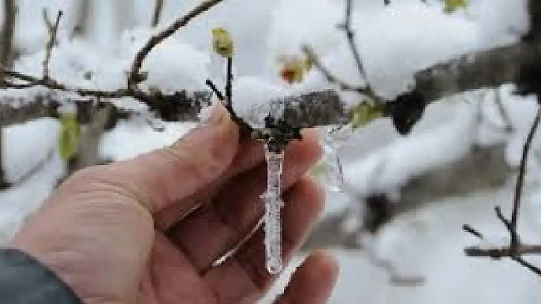 Malatya İçin Zirai Don Uyarısı