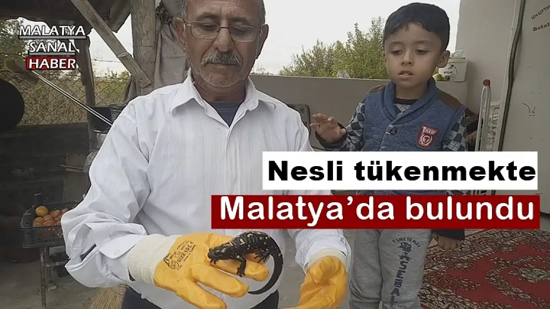 Malatya´da bulundu