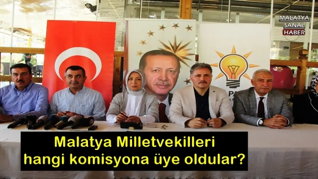 Malatya Milletvekilleri hangi komisyona üye oldular?