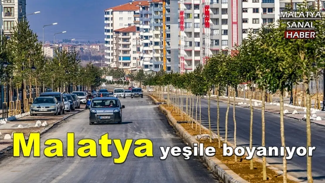 Malatya yeşile boyanıyor