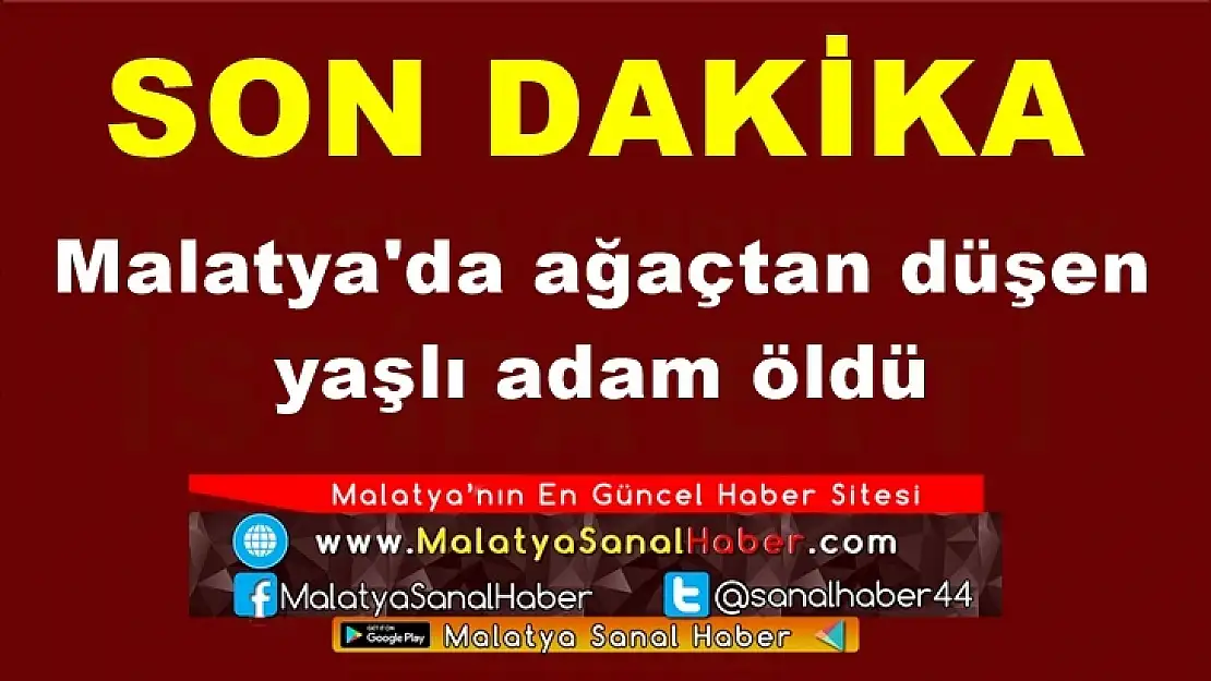 Malatya'da ağaçtan düşen yaşlı adam öldü