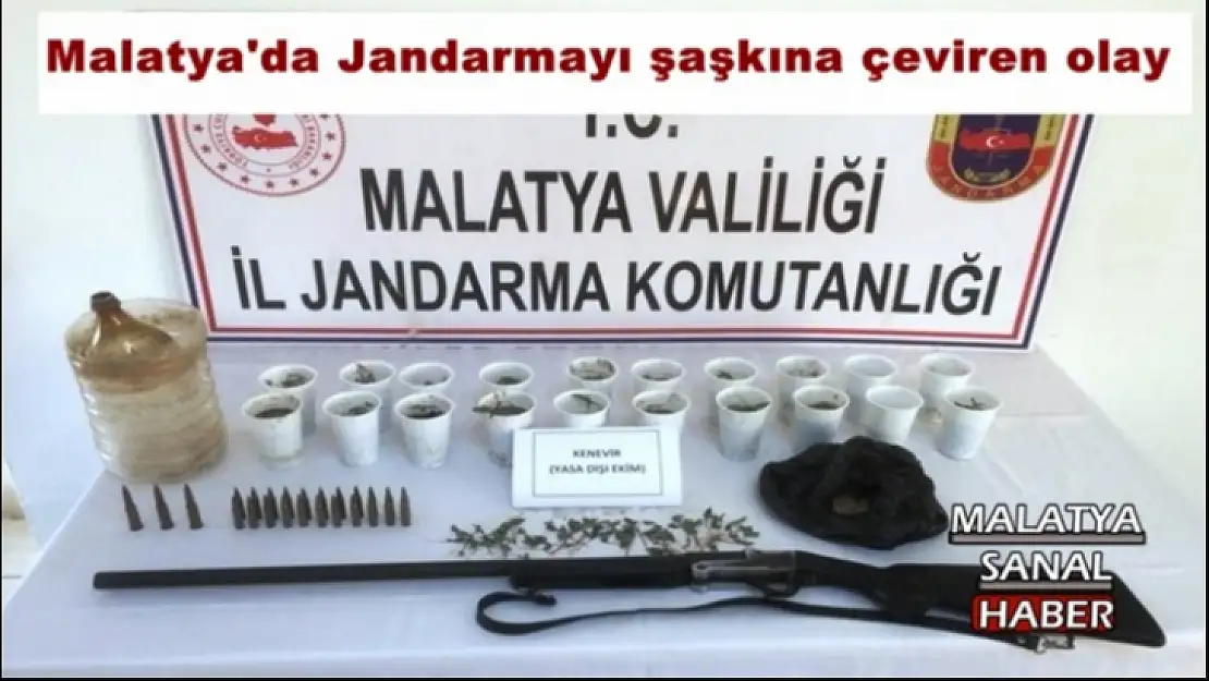 Malatya'da Jandarmayı şaşkına çeviren olay