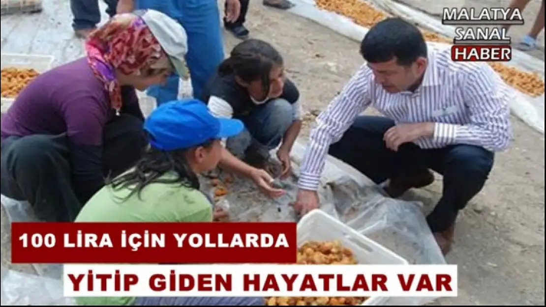 Ağbaba  Mevsimlik Tarım İşçiliği ile ilgili meclis araştırması istedi