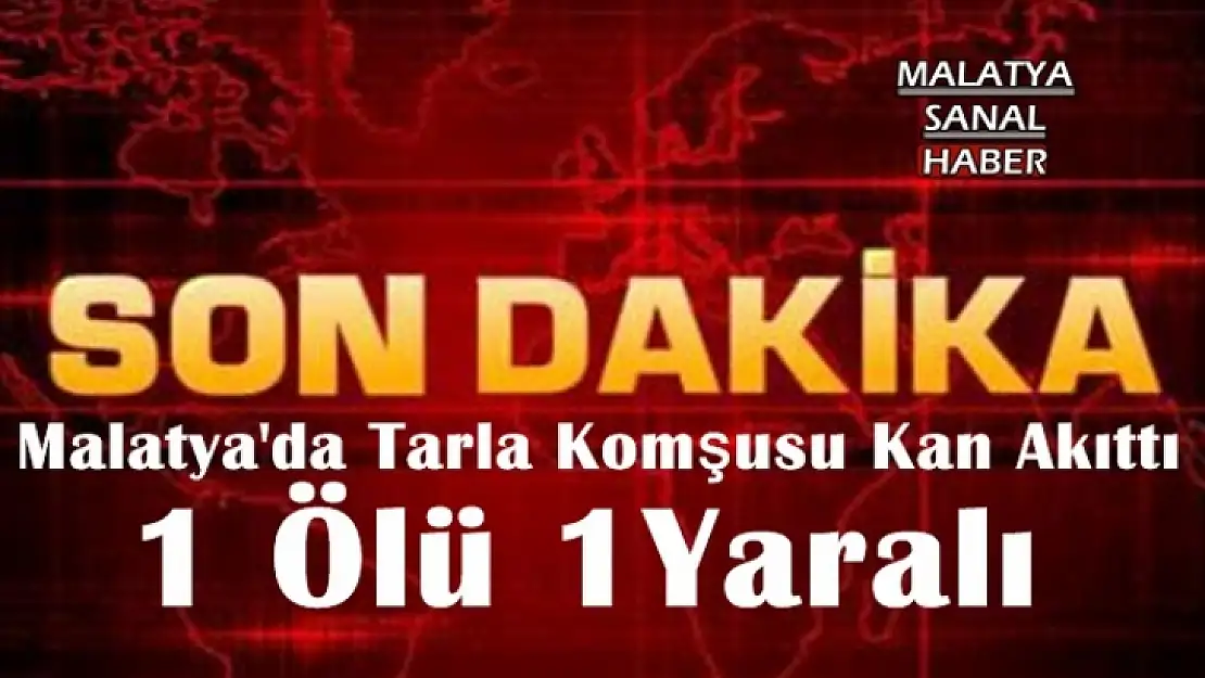 Malatya'da Tarla Komşusu Kan Akıttı 1 ölü 1 yaralı