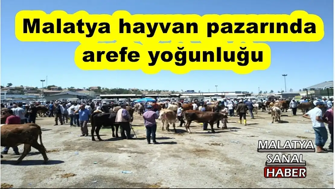 Malatya hayvan pazarında arefe yoğunluğu