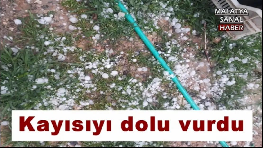 Kayısıyı dolu vurdu
