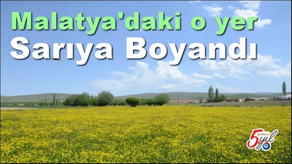 Malatya'daki o yer  sarıya boyandı