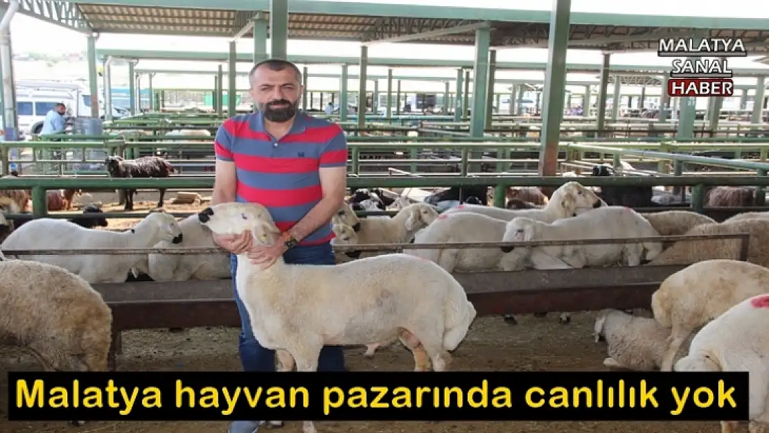 Malatya hayvan pazarında canlılık yok