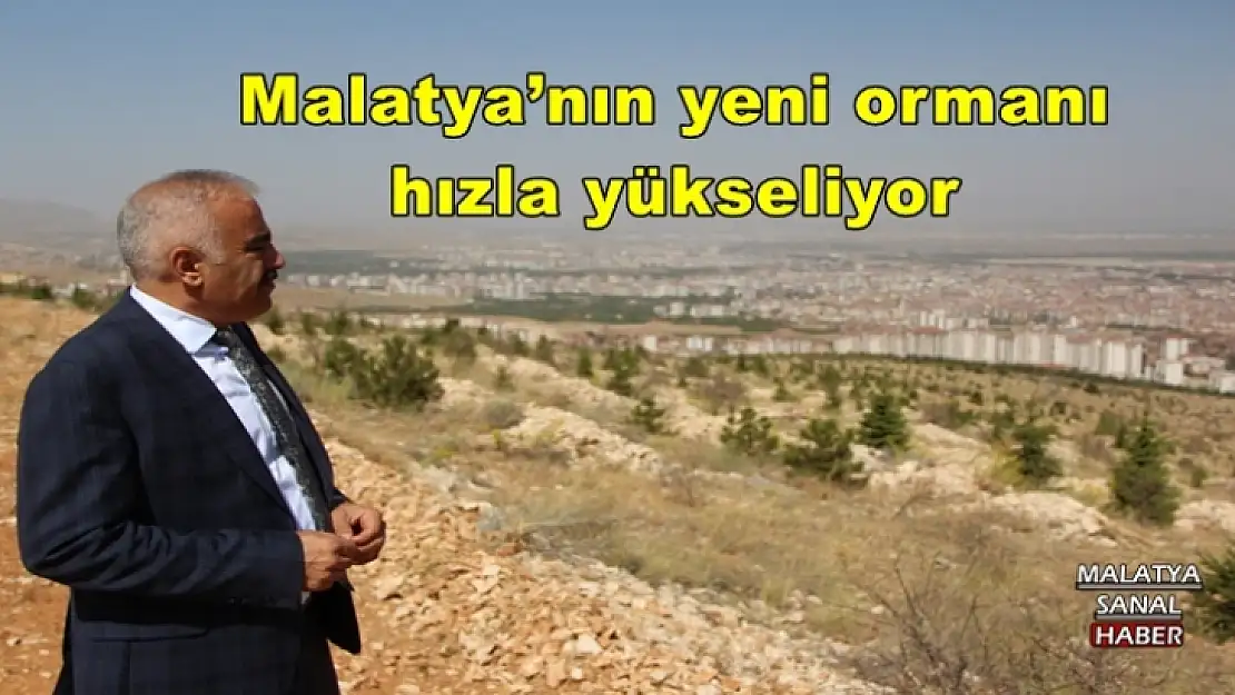 Malatya´nın yeni ormanı hızla yükseliyor