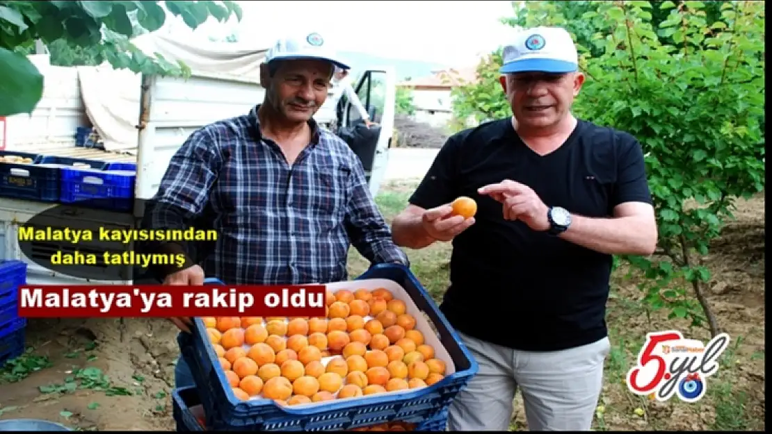 Malatya'ya rakip oldu