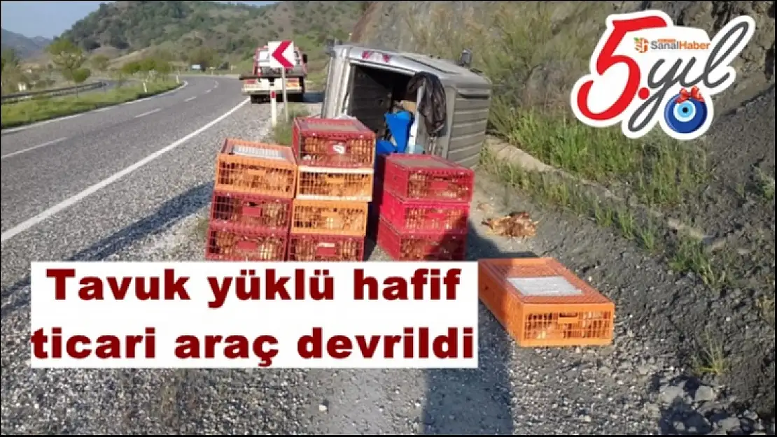 Tavuk yüklü hafif ticari araç devrildi:1 yaralı