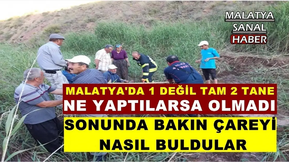 Malatya'da 1 değil tam 2 tane