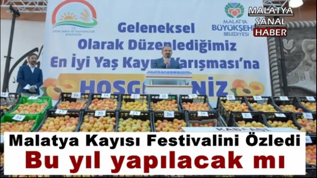 Malatya Kayısı Festivalini Özledi