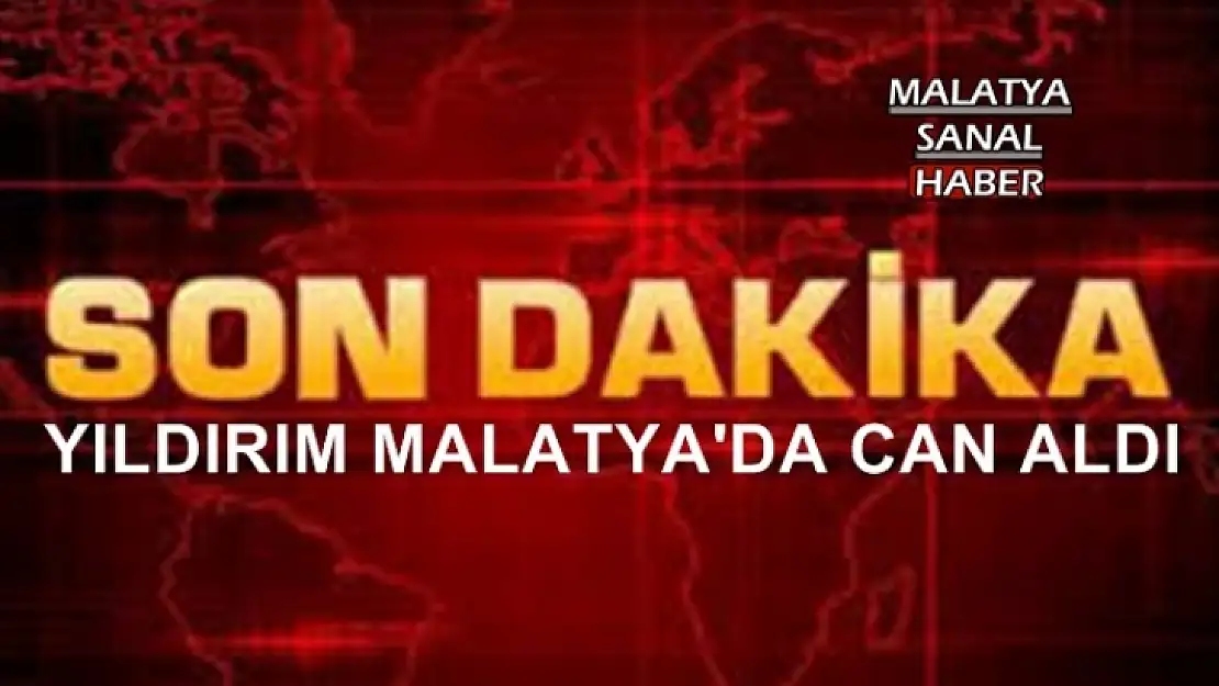 Malatya'da yıldırımın çarptığı çoban öldü