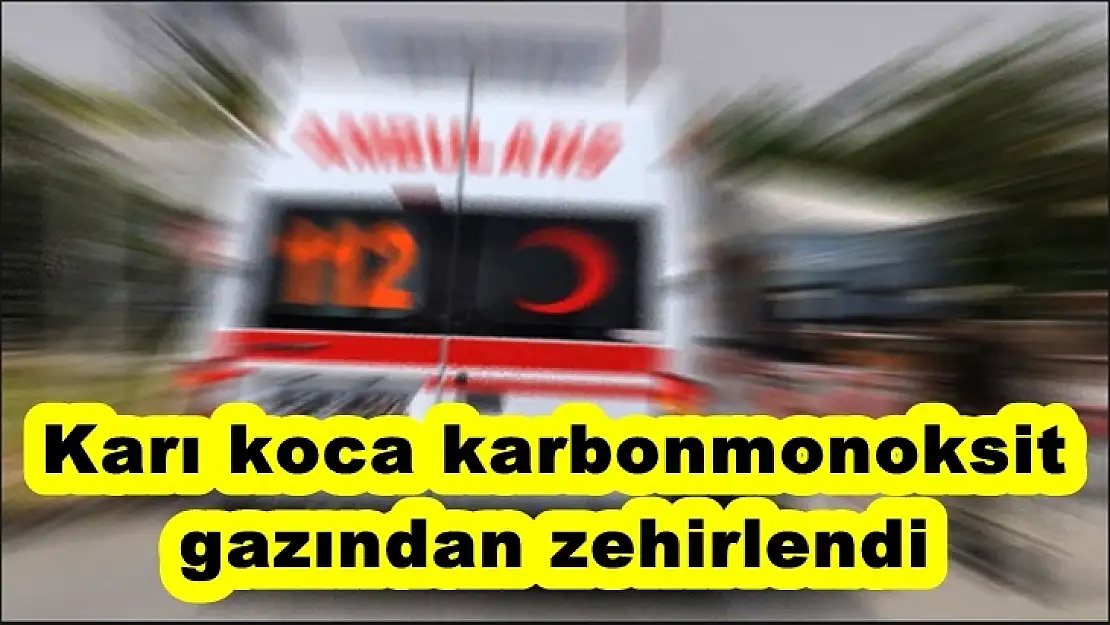 Karı koca karbonmonoksit  gazından zehirlendi