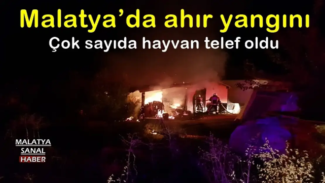 Malatya´da ahır yangını