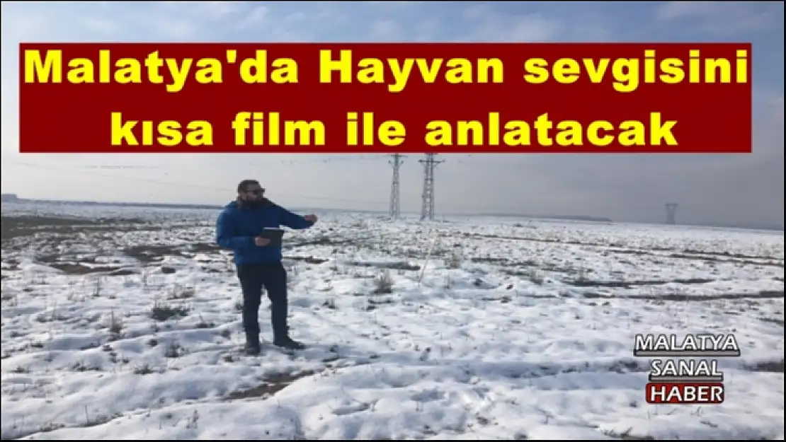 Malatya'da hayvan sevgisini kısa film ile anlatacak