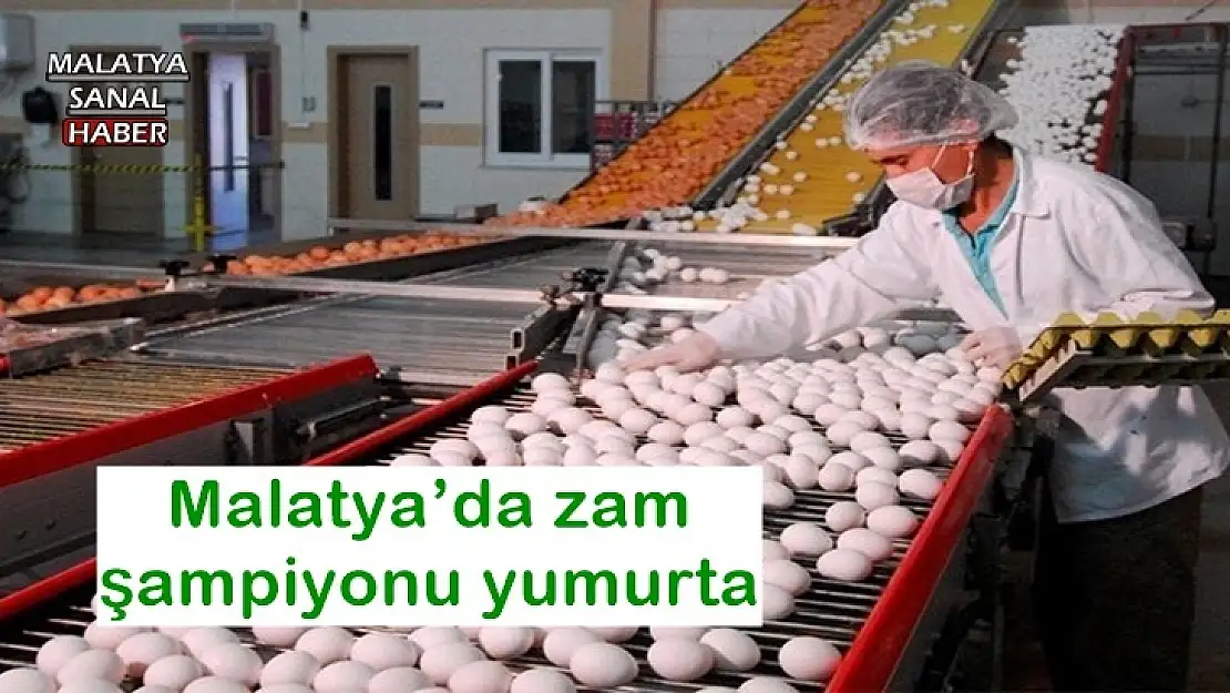 Malatya´da zam  şampiyonu yumurta