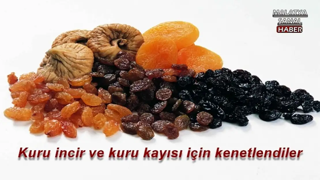Kuru incir ve kuru kayısı için kenetlendiler