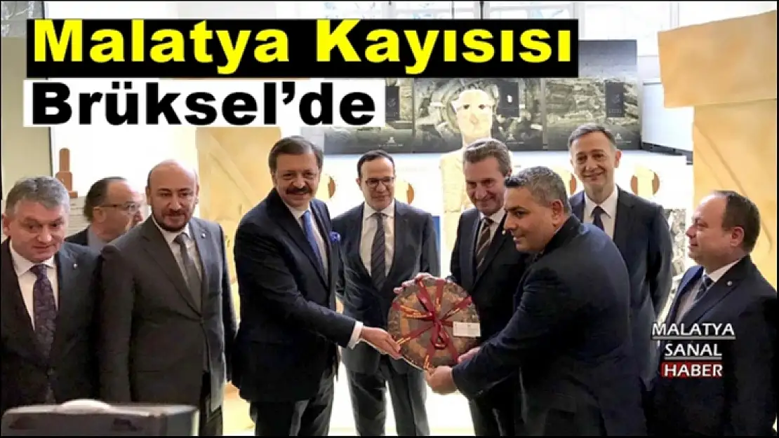 Malatya Kayısısı Brüksel´de