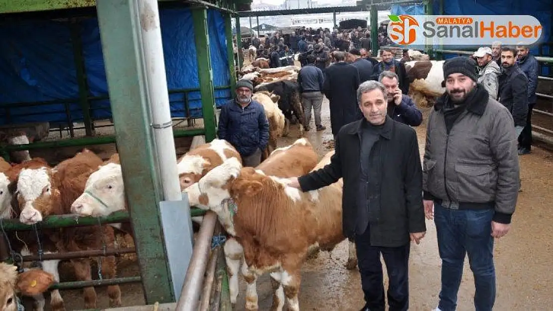 Malatya Hayvan Pazarı kapatıldı