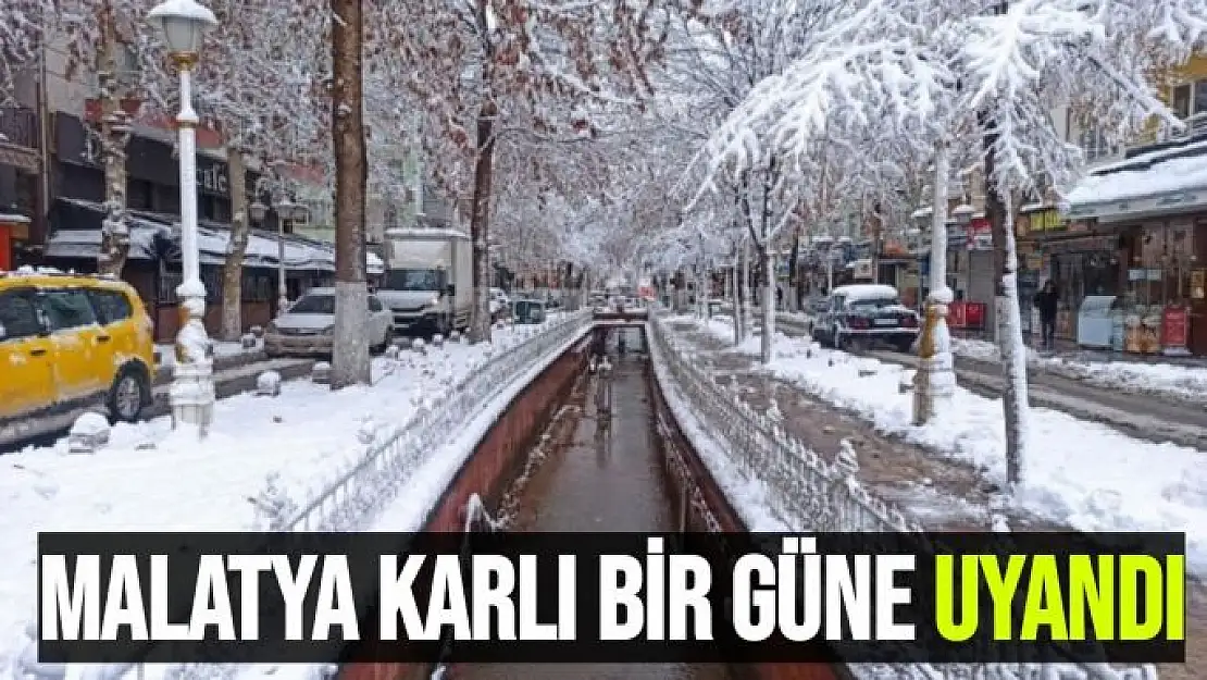 Malatya karlı bir güne uyandı