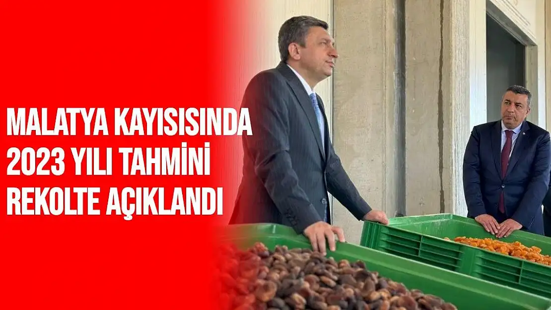 Malatya kayısısında 2023 yılı tahmini rekolte açıklandı