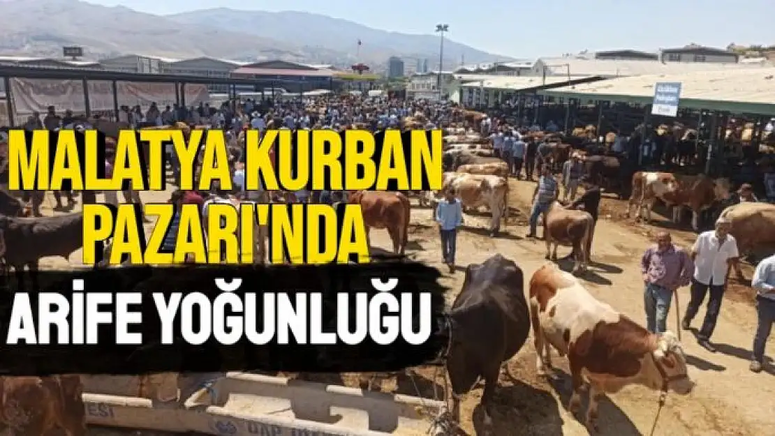 Malatya Kurban Pazarı´nda arife yoğunluğu