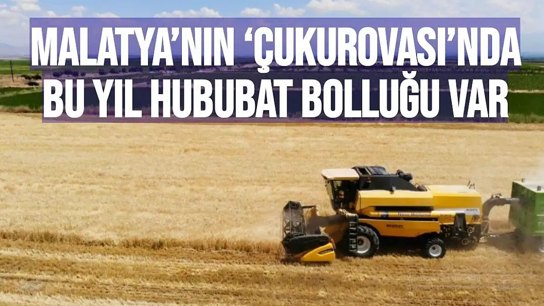 Malatya´nın `Çukurovası´nda bu yıl hububat bolluğu var