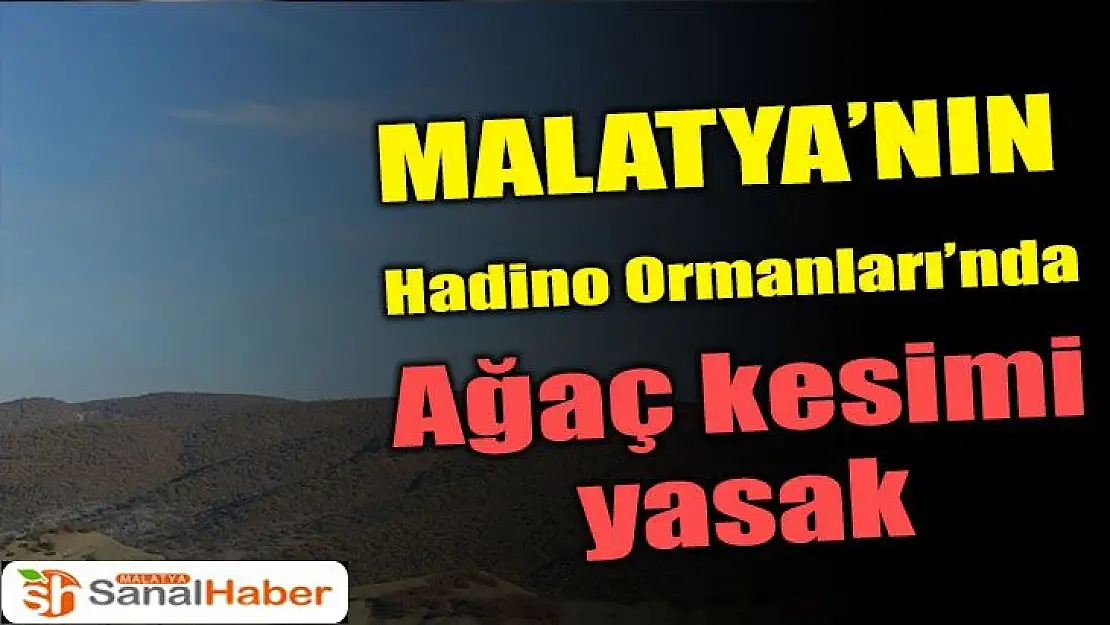 Malatya'nın Hadino Ormanları´nda ağaç kesimi yasak