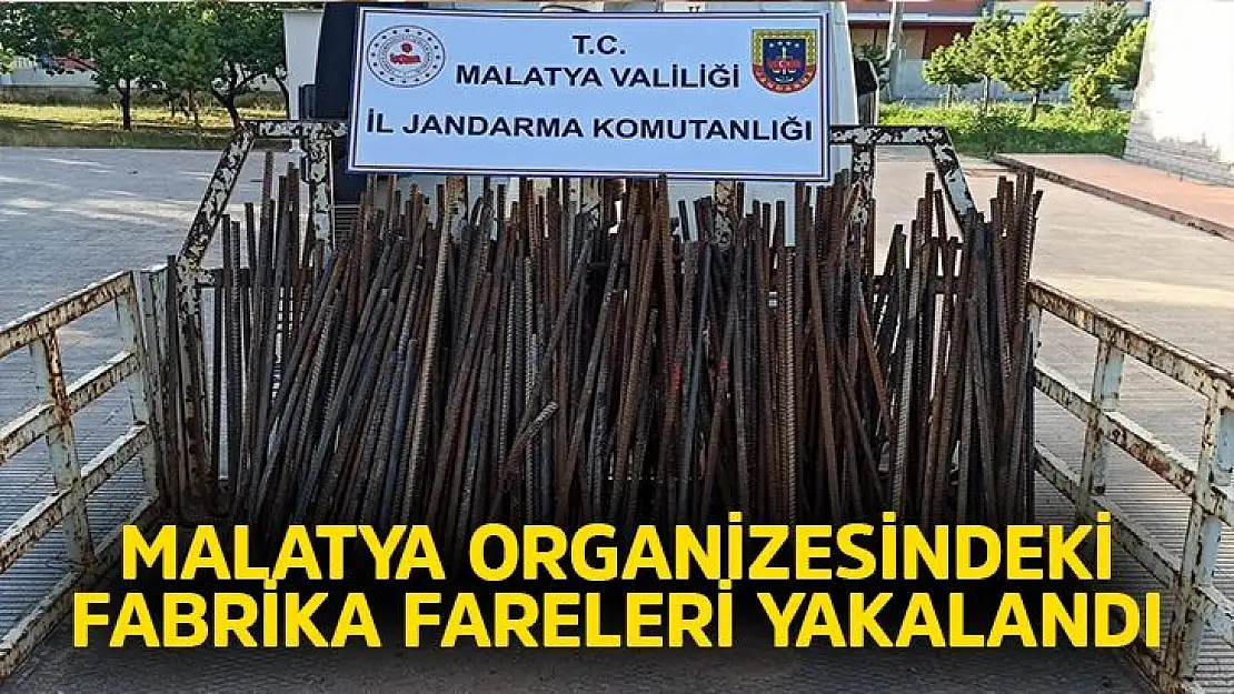 Malatya Organizesindeki Fabrika fareleri yakalandı