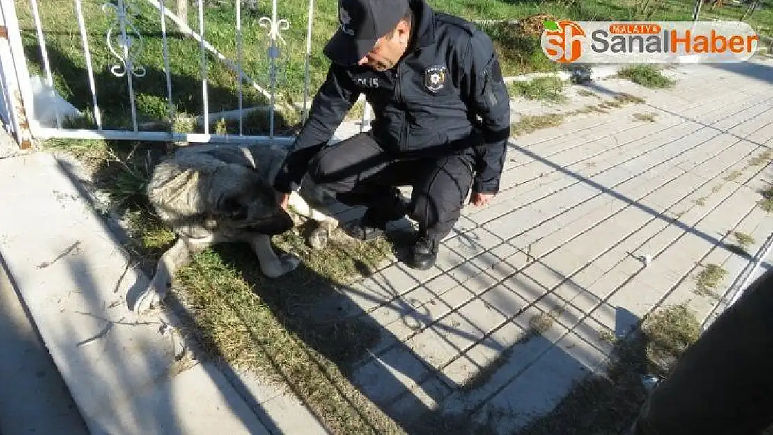 Malatya polisinden şefkat eli