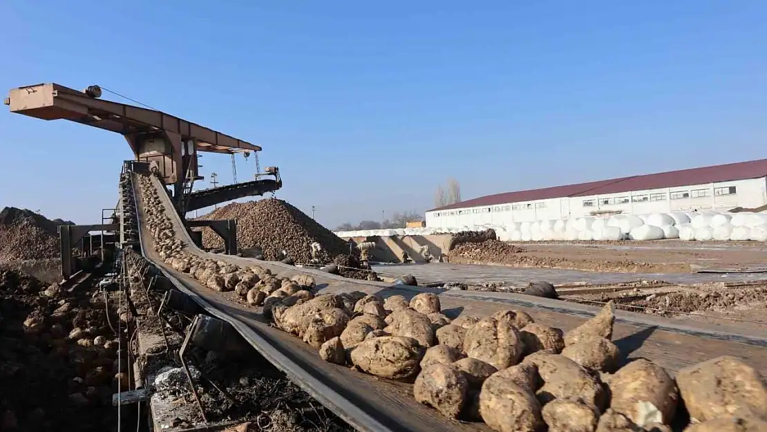 Malatya Şeker Fabrikası'nda hedef 55 bin ton şeker üretimi