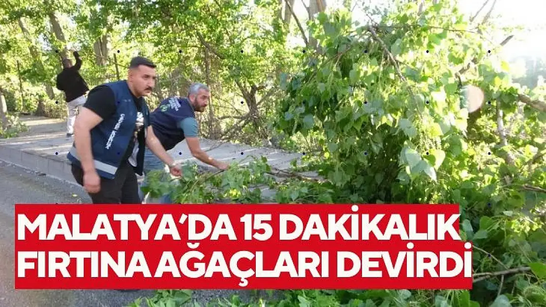 Malatyada 15 dakikalık fırtına ağaçları devirdi