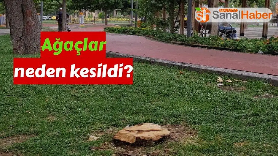 Malatya´da Ağaçlar neden kesildi?