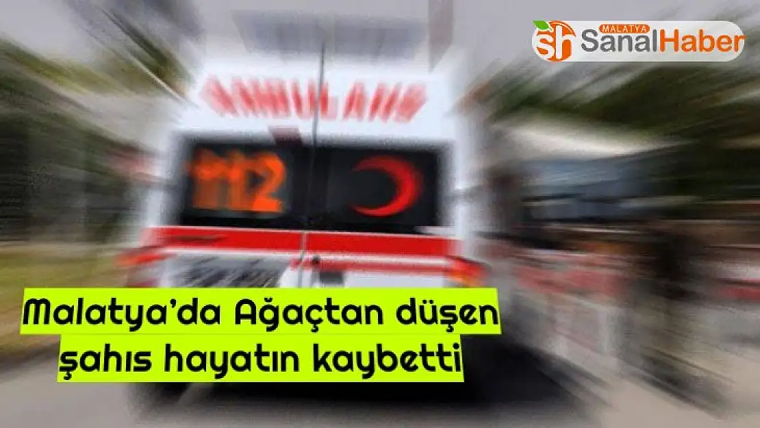Malatya´da Ağaçtan düşen şahıs hayatın kaybetti