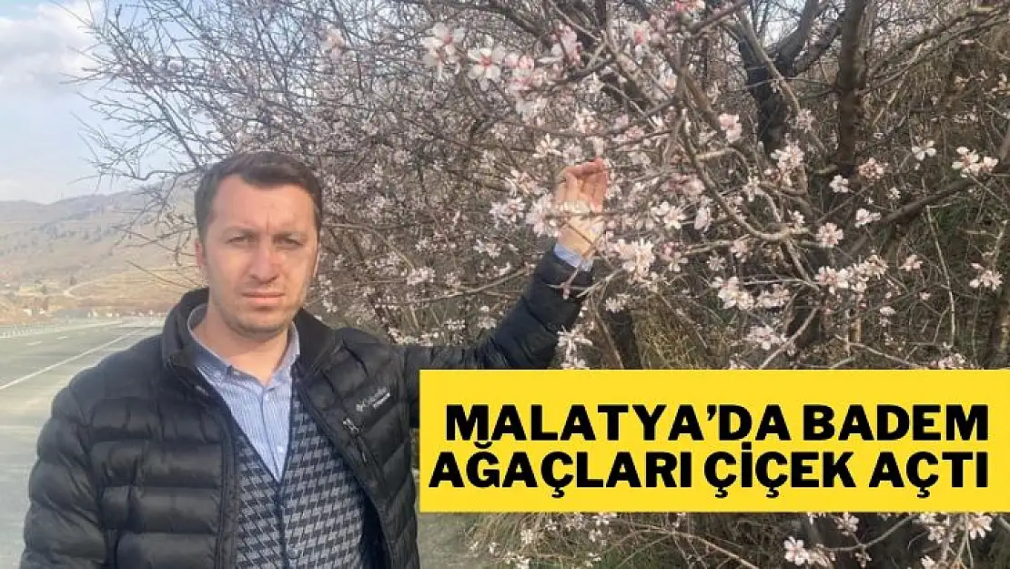 Malatyada badem ağaçları çiçek açtı