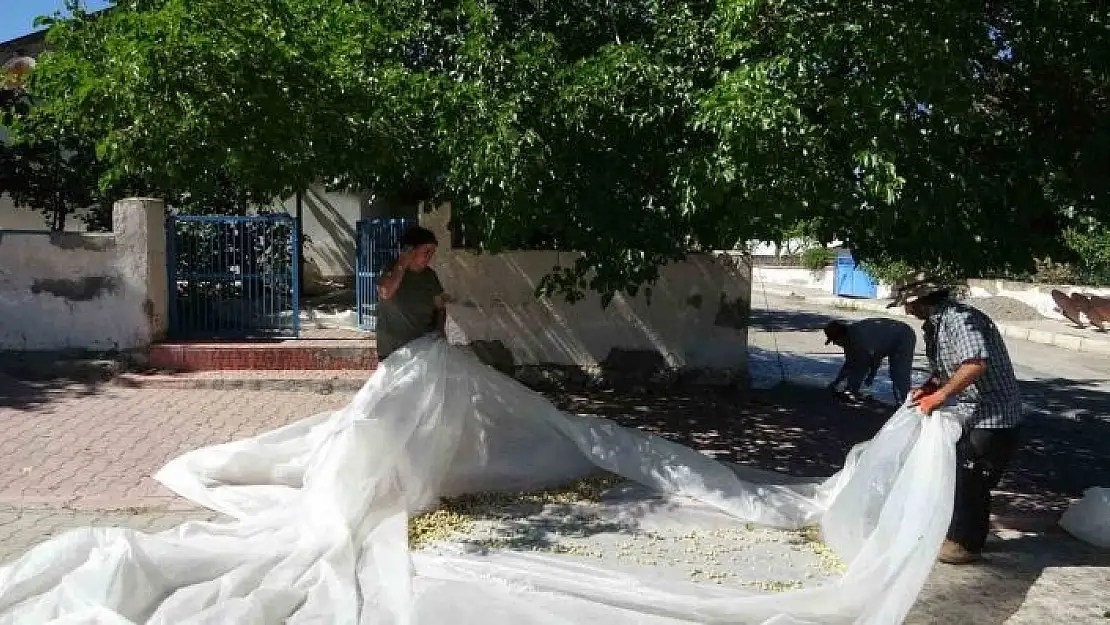 'Malatyada dutun pekmez yolcuğu başladı'