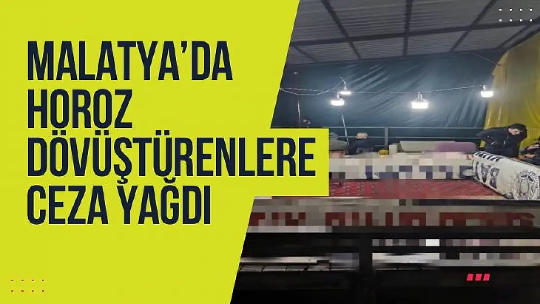 Malatyada horoz dövüştürenlere ceza yağdı