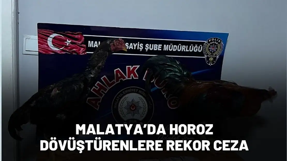 Malatyada horoz dövüştürenlere rekor ceza