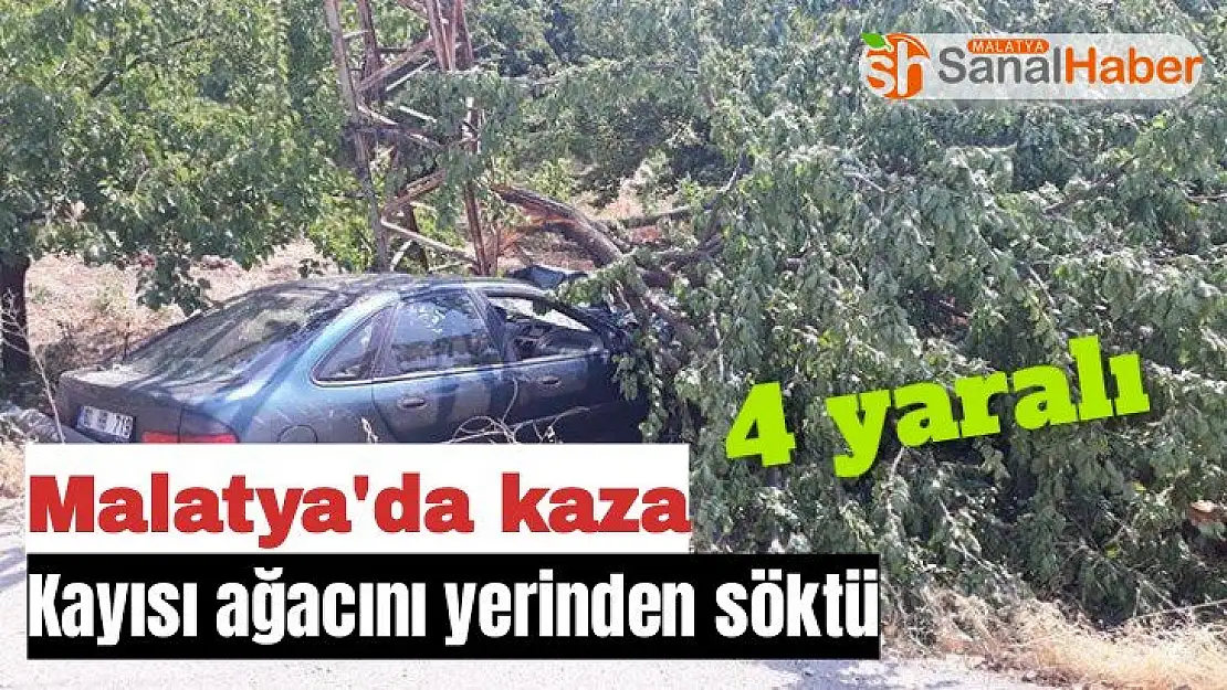 Malatya'da kaza 4 yaralı